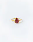 Ladakh Ring 