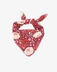 Booj Bandana